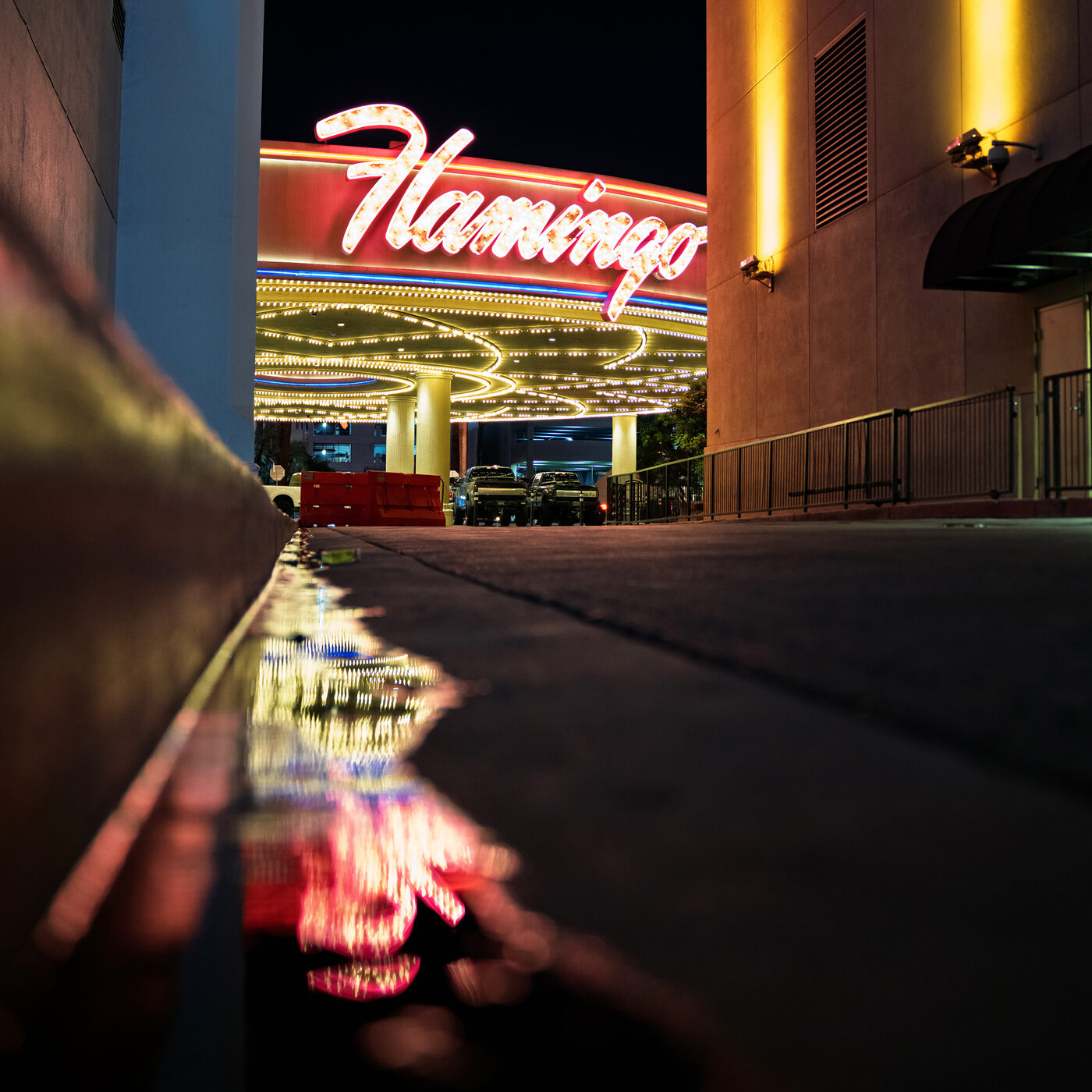 Flamingo Las Vegas neon reflection